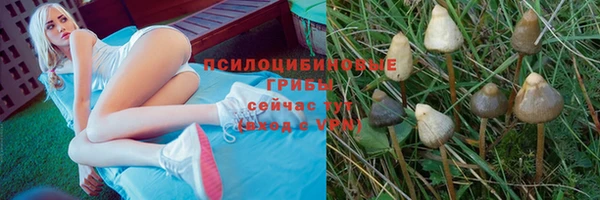 ALPHA PVP Алзамай