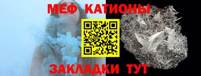 гашик Кингисепп