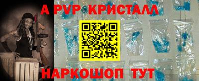 гашик Кингисепп