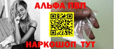 гашик Кингисепп