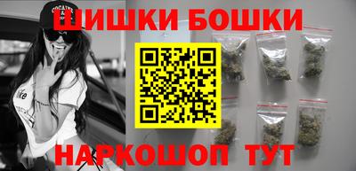 гашик Кингисепп