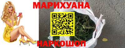 гашик Кингисепп