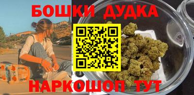 гашик Кингисепп