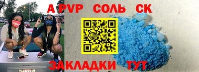 гашик Кингисепп