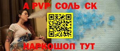 гашик Кингисепп
