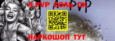 гашик Кингисепп