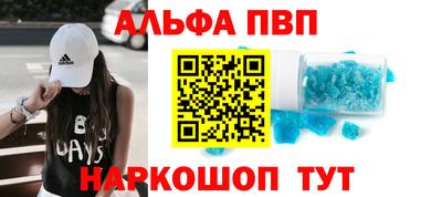 гашик Кингисепп