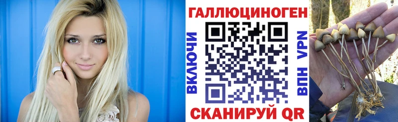 Псилоцибиновые грибы ЛСД  Волоколамск 